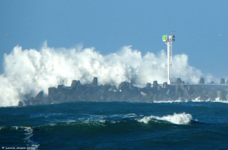 Breakers at the end of Humboldt Bay’s north jetty (Photo by Laurie Jensen)